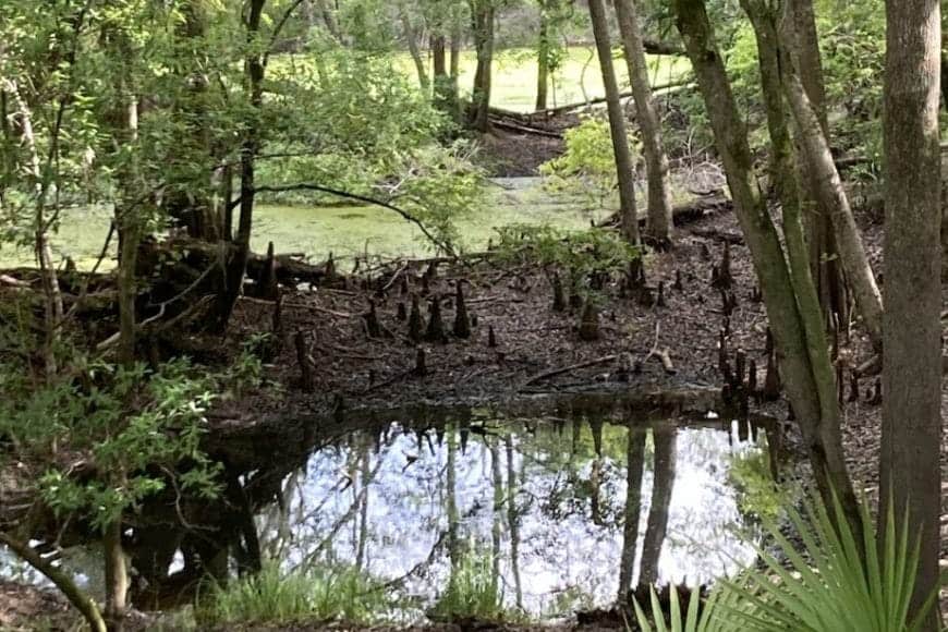 Ponds of O'Leno
